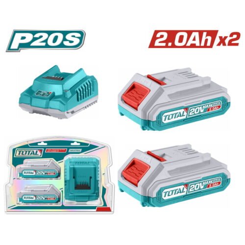 P20S Lithium-Ion battery and charger kit
