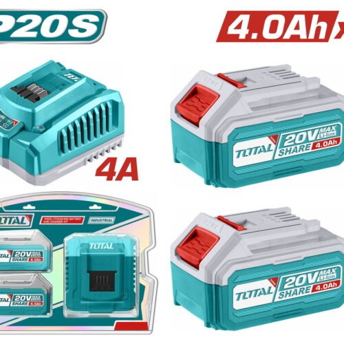 P20S Lithium-Ion battery and charger kit