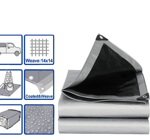 Bâche de Protection Renforcée en Polyéthylène 2x3m