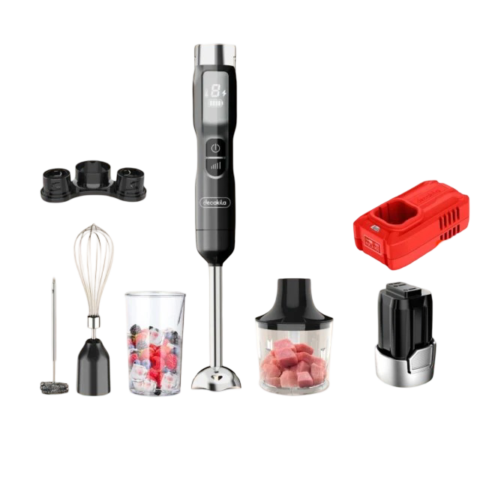 Mixeur plongeant sans fil 16V 5 en 1 - 500 ml