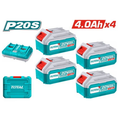 P20S Lithium-Ion battery and charger kit