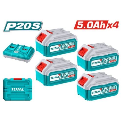 P20S Lithium-Ion battery and charger kit