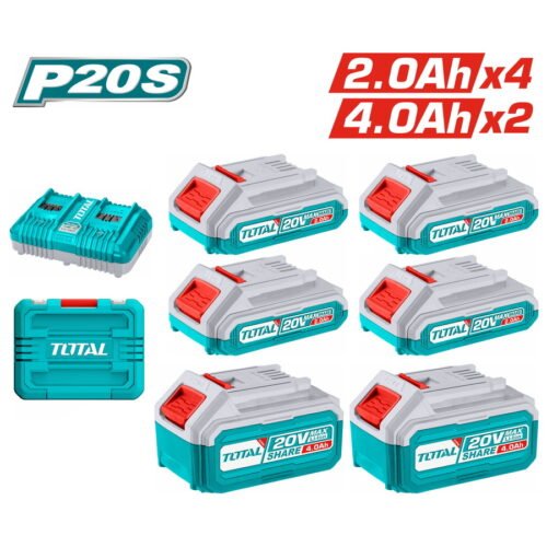 P20S Lithium-Ion battery and charger kit