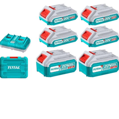 Kit 6 Batteries Lithium-ion 20V (2.0Ah & 4.0Ah) + Chargeur rapide