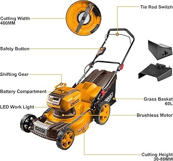 71s9ijxM4nL._AC_UF350,350_QL80_