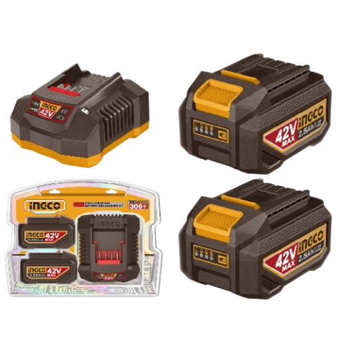 Kit 2 Batteries 42V 2,5 Ah + Chargeur Rapide Ingco